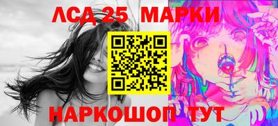 мдпв Камышлов