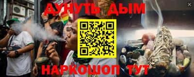мдпв Камышлов