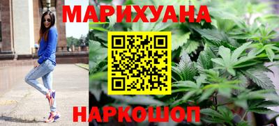 мдпв Камышлов