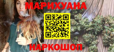 бошки Кингисепп