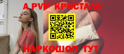 мдпв Камышлов