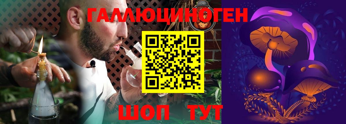 Галлюциногенные грибы мухоморы  Галлюциногенные грибы прущие грибы  Вход с VPN  Сочи 
