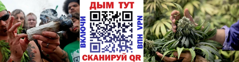 где продают Сочи shop Telegram Конопля сатива